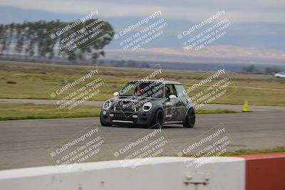 media/Mar-30-2025-Speed Ventures (Sun) [[39e6b1441d]]/Purple/Front Straight/